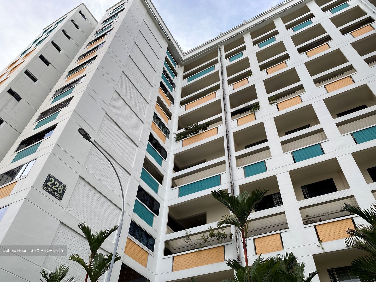 Blk 228 Pending Road (Bukit Panjang), HDB Executive #382194561